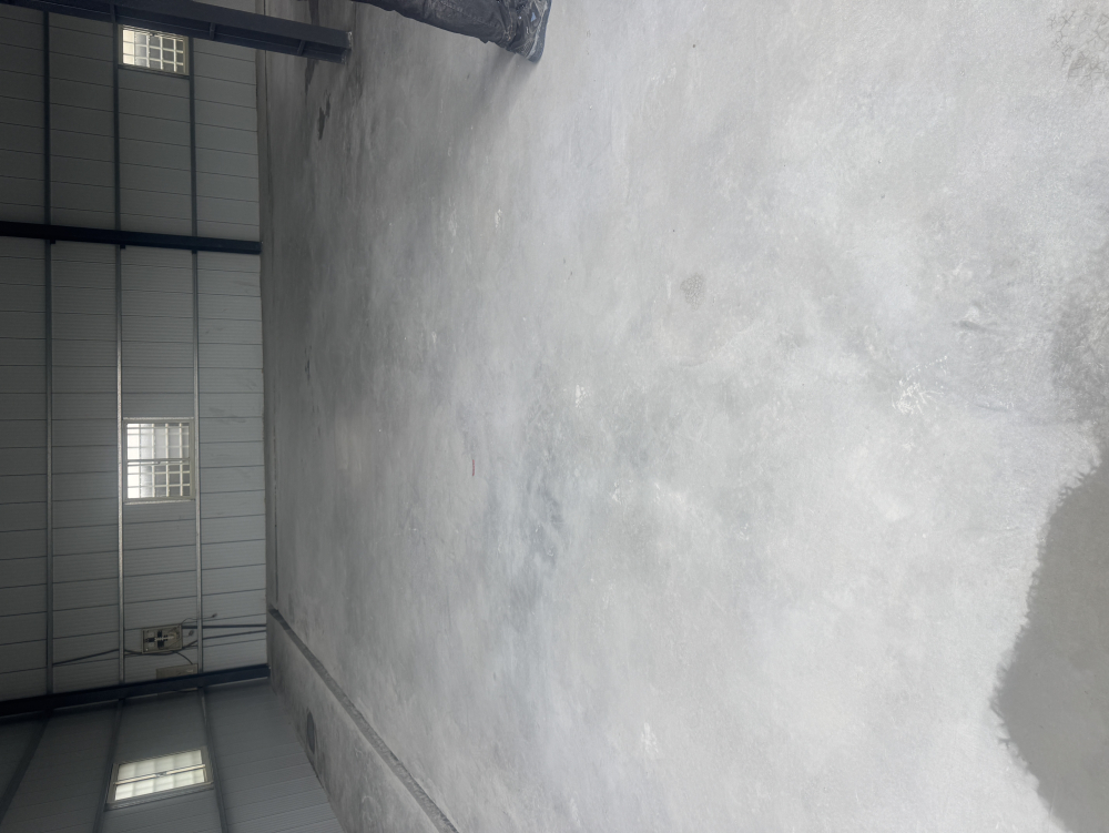 S__41558052_0