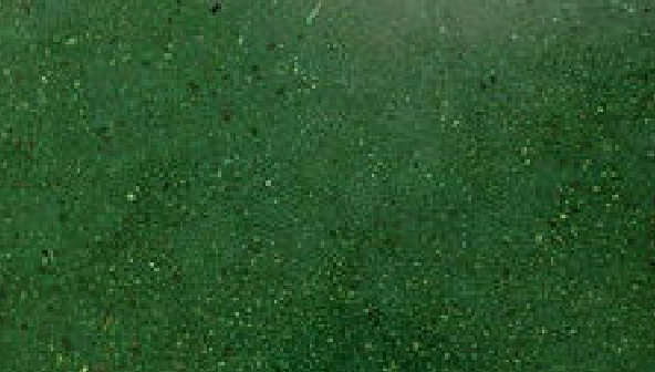 鑽晶染色硬化地坪